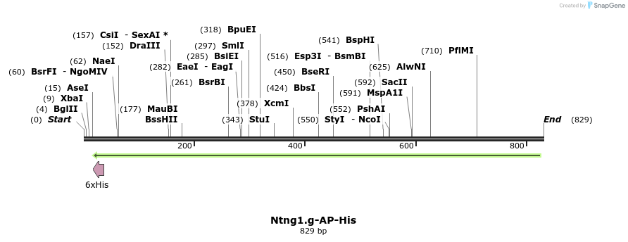 138374_map