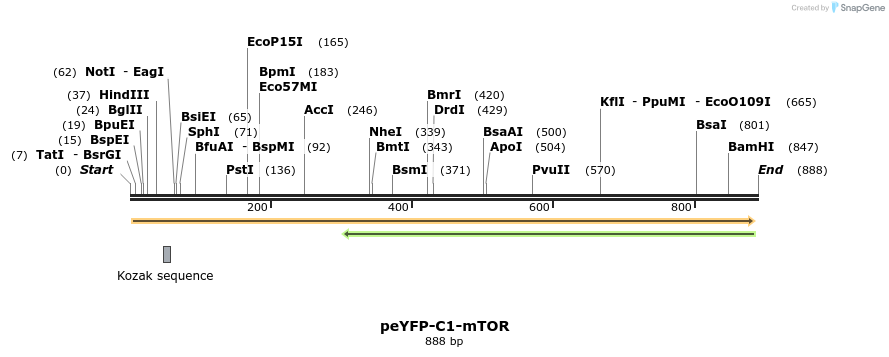 138384_map