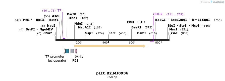 138388_map