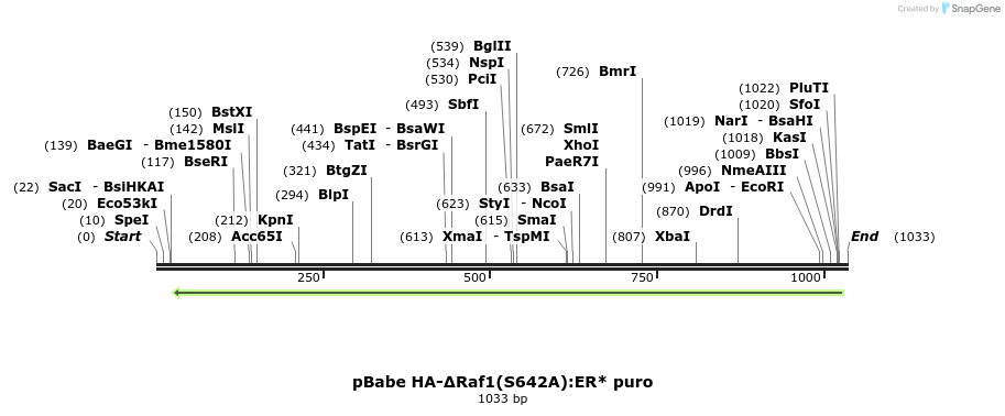 138390_map