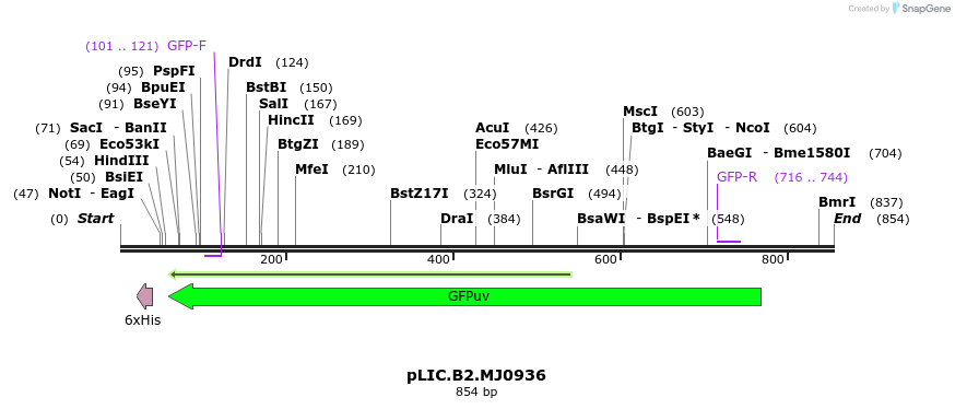 138391_map