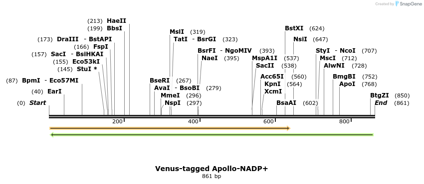 138399_map