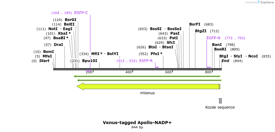 138400_map