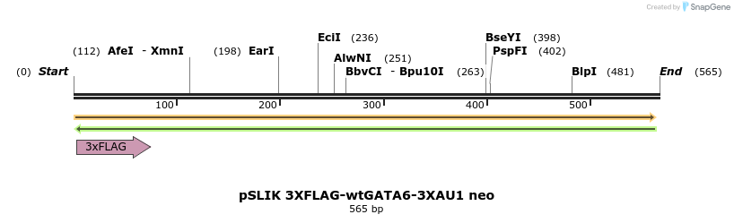 138401_map