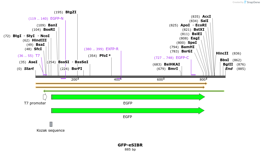 138402_map