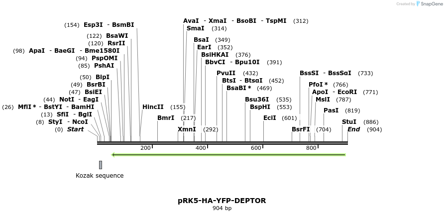 138403_map
