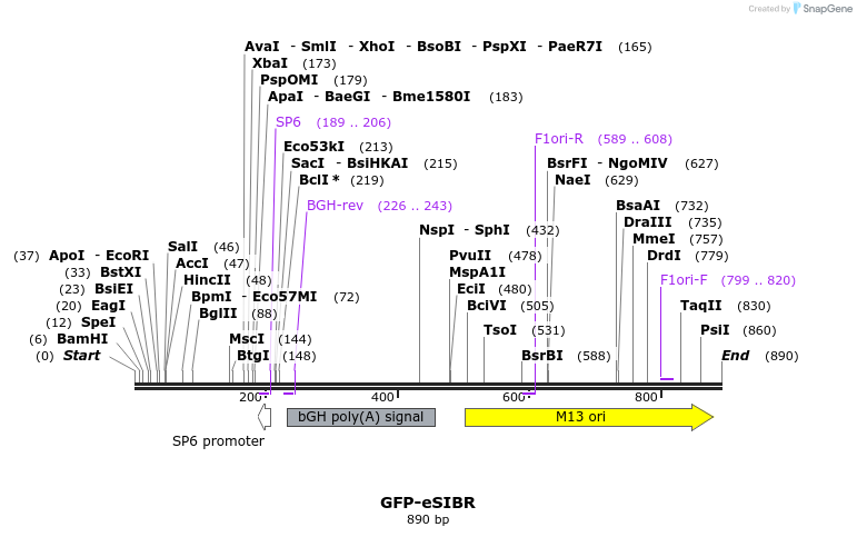 138404_map