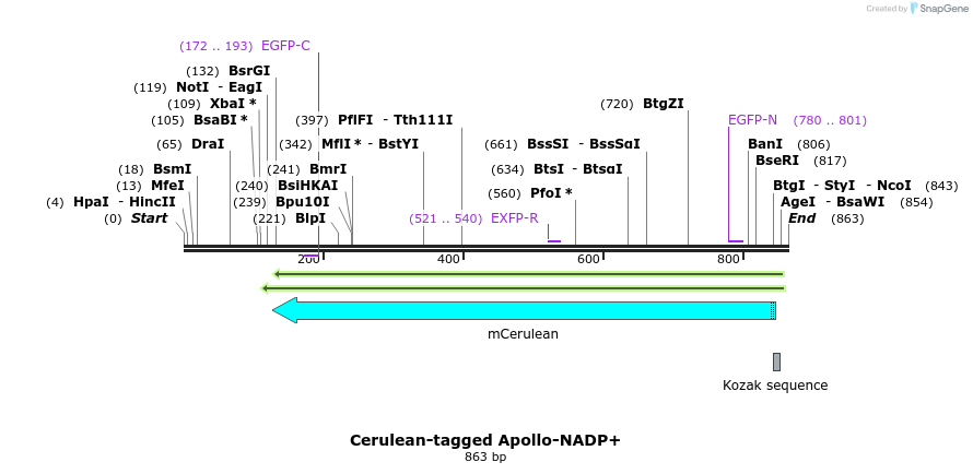 138411_map
