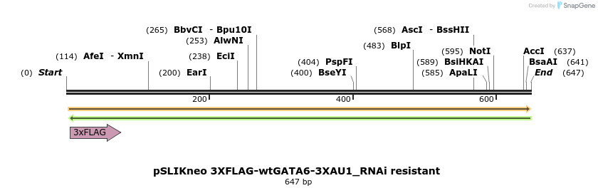 138421_map