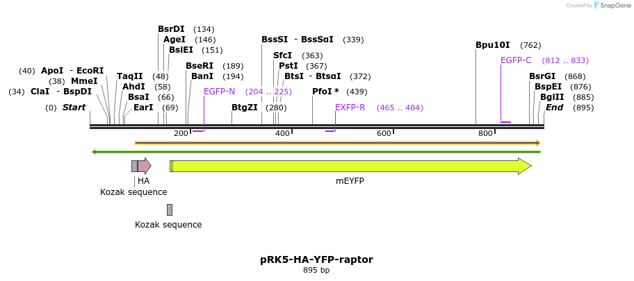 138432_map