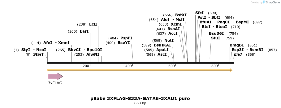 138434_map