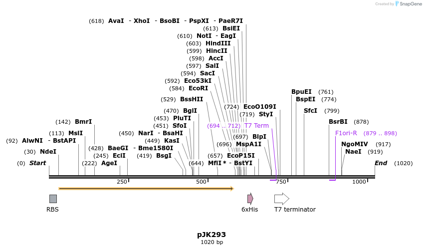 138435_map