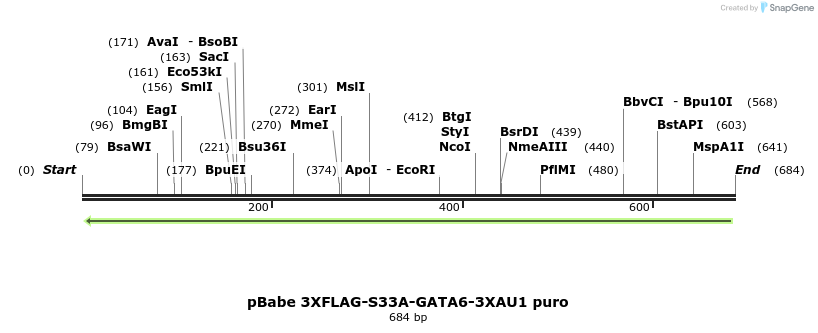 138437_map