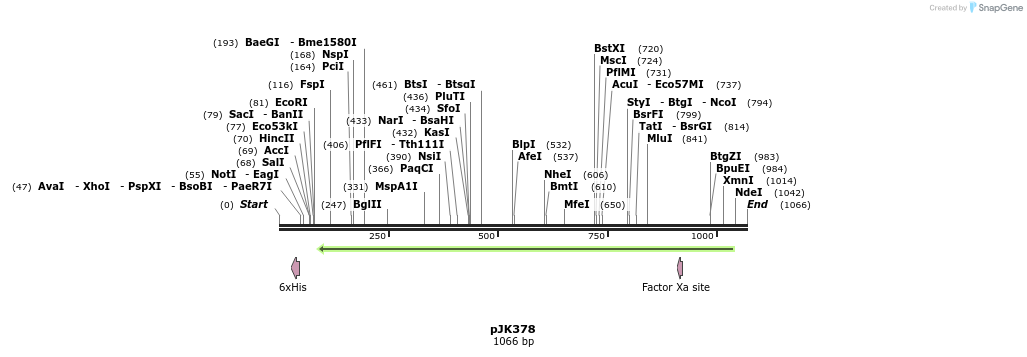138442_map