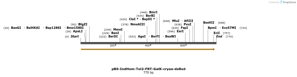 138445_map