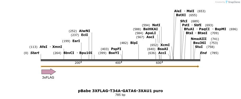 138446_map