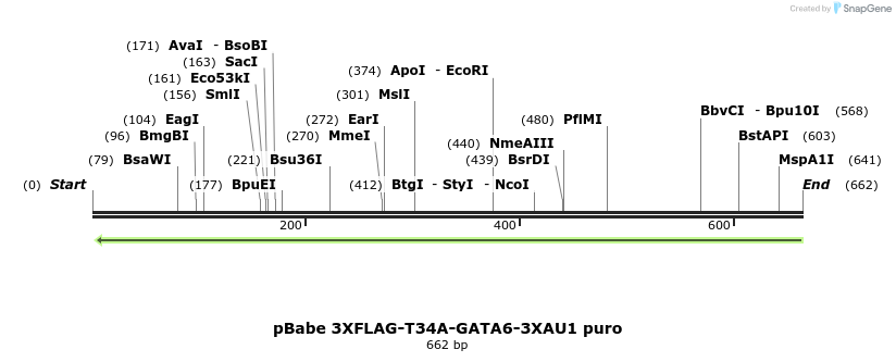 138450_map
