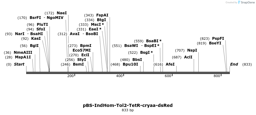 138457_map