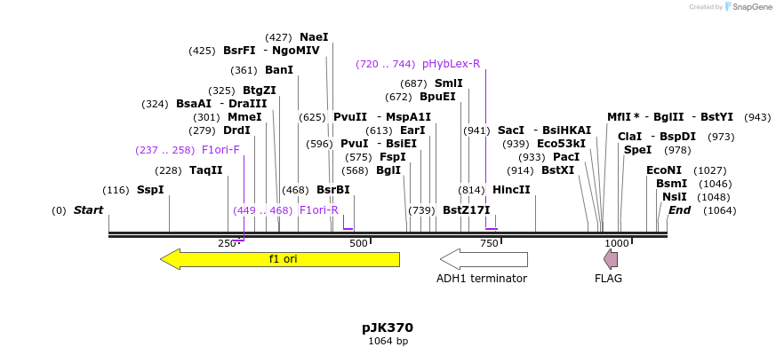 138460_map