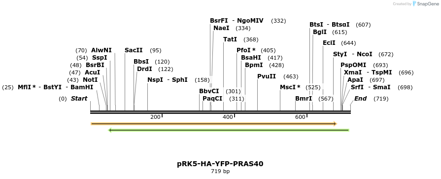 138461_map