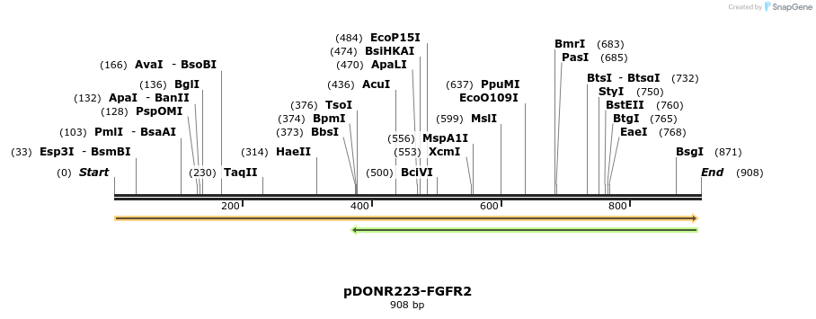 138465_map