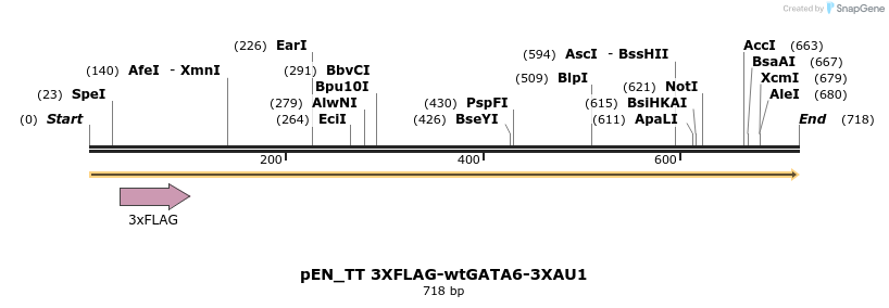 138467_map