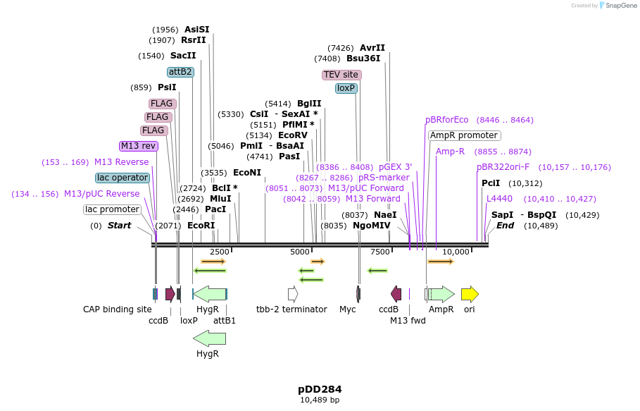 138474_map