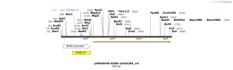 138481_map