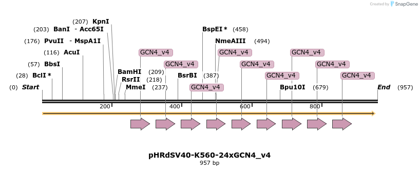138482_map