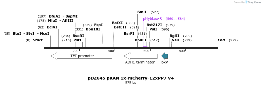 138488_map