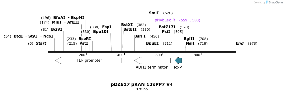 138490_map