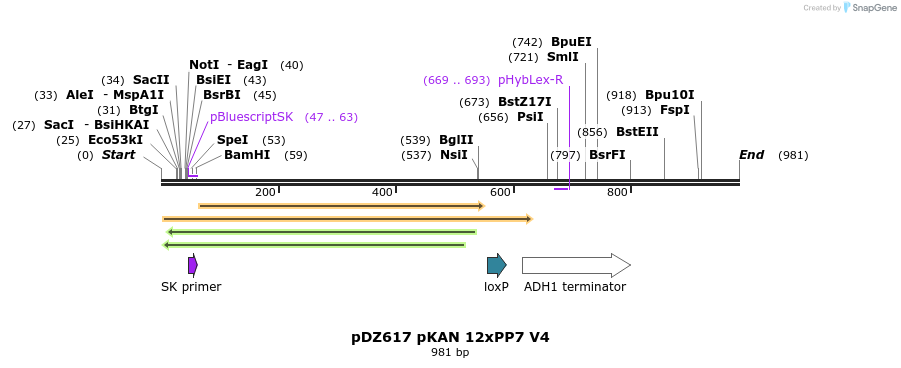 138491_map