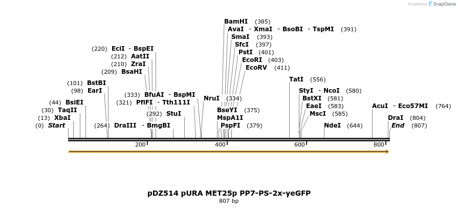 138492_map