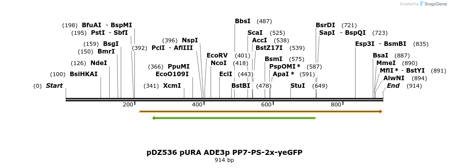 138494_map