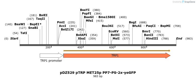 138499_map