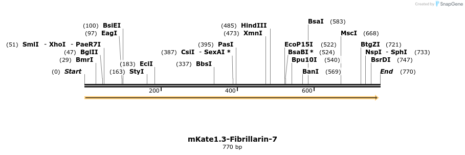138502_map