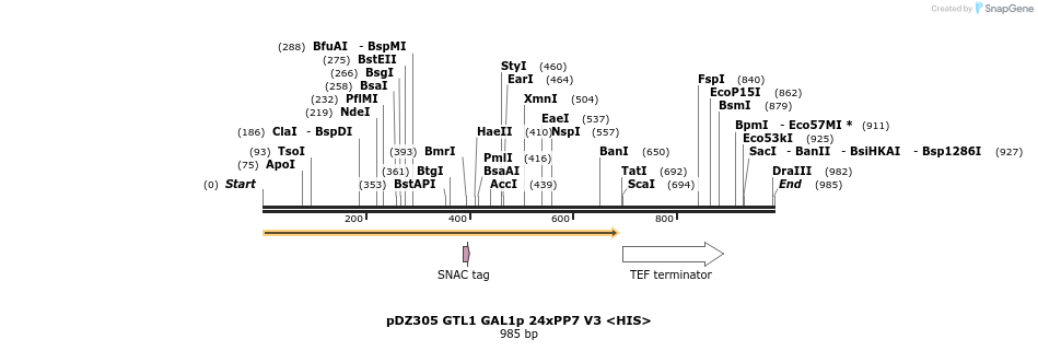 138504_map
