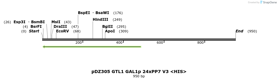 138505_map