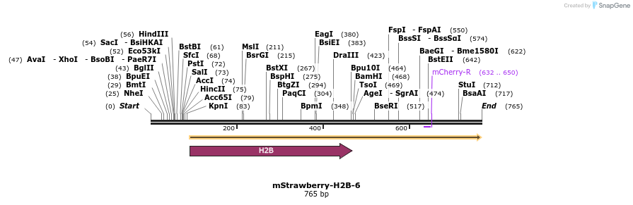 138507_map