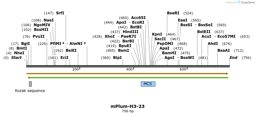 138509_map