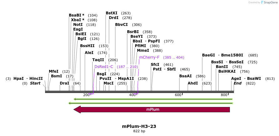 138510_map