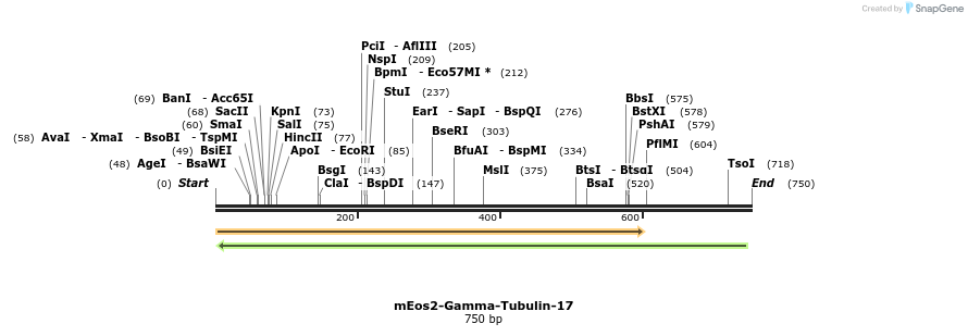 138513_map