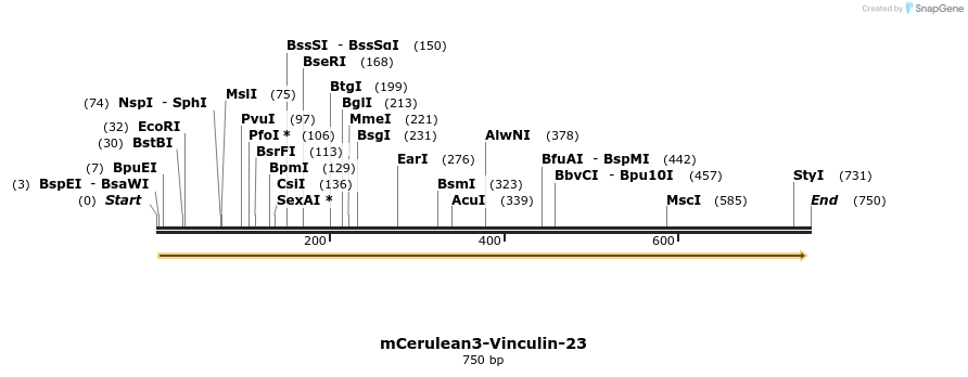 138514_map