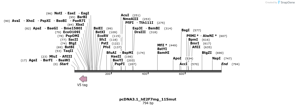 138520_map