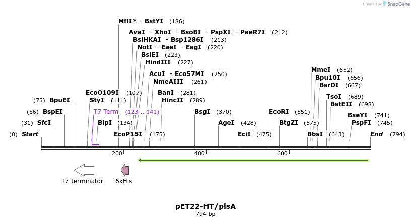 138533_map