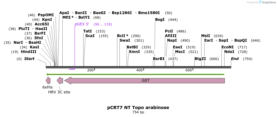 138542_map