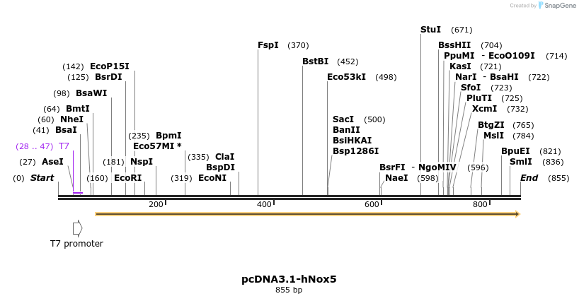 138543_map