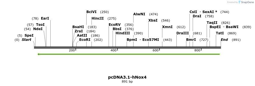 138550_map
