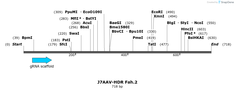 138559_map