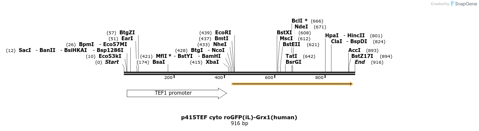 138562_map